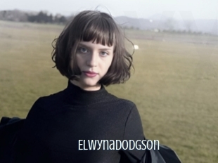 Elwynadodgson