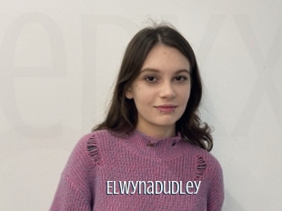 Elwynadudley