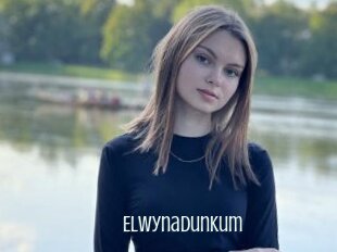 Elwynadunkum