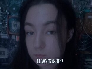 Elwynagapp