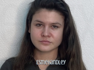 Esmehandley