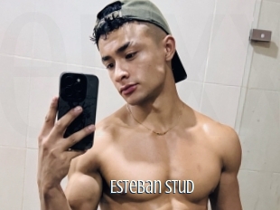 Esteban_stud