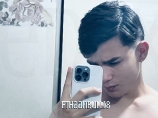 Ethaanbull18