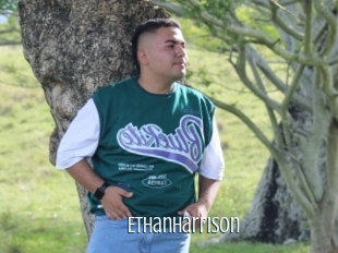 Ethanharrison