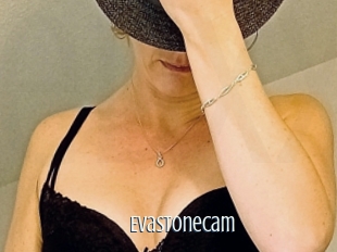 Evastonecam