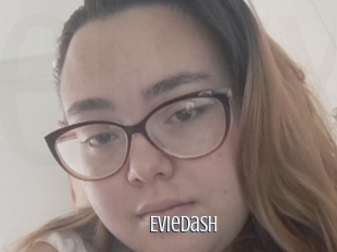 Eviedash