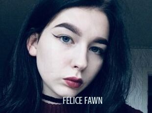 FELICE_FAWN