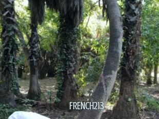 FRENCH213