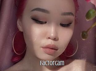 FactorCam
