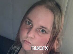 Falbkatze
