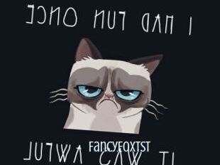 FancyFoxTST