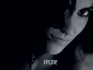Feline