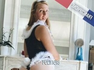 Feline18