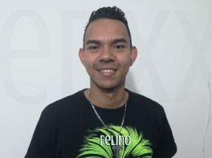 Felino