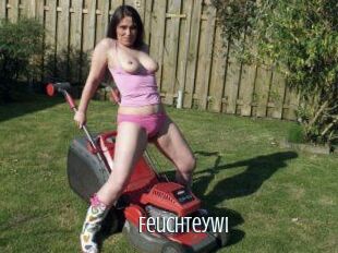 Feuchteywi