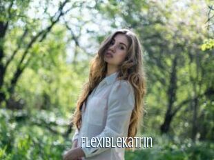 FlexibleKatrin