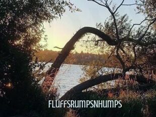 FluffsRumpsNHumps
