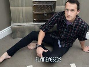 FlyInEyesEds