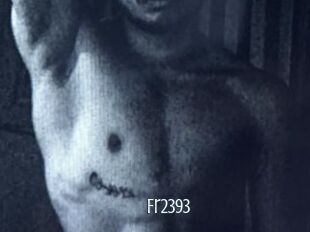 Fr2393