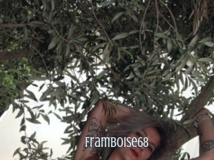 Framboise68