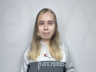 Fancybibbs