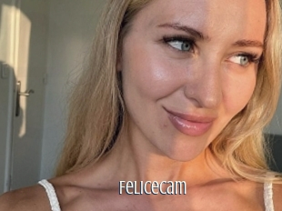 Felicecam
