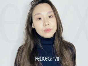 Felicecarvin