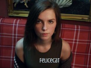 Felicecat