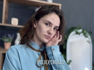 Felicediggle