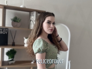 Felicedrover