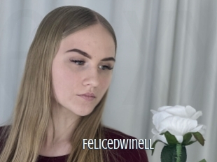 Felicedwinell