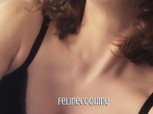 Felinecoquine