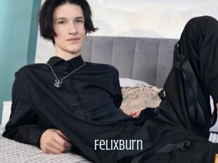 Felixburn