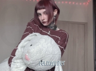 Felixwinter