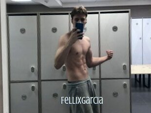 Fellixgarcia