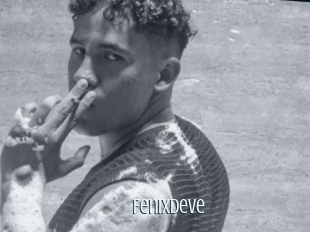 Fenixdeve