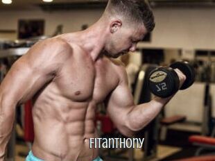 Fitanthony