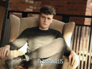 Flashwallis