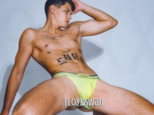 Floydswan