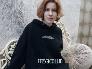 Freyacollin