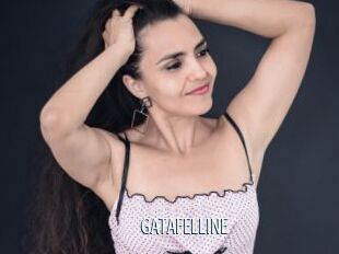 GATAFELLINE