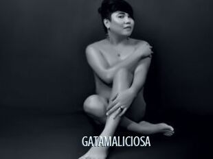 GATAMALICIOSA