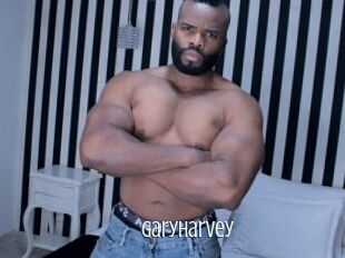 GaryHarvey