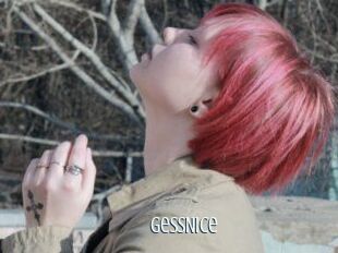 GessNice