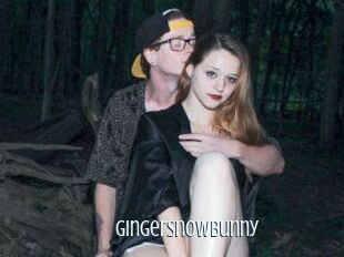 GingerSnowBunny