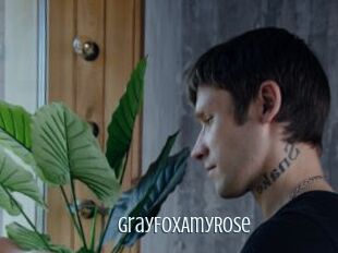 GrayFoxAmyRose