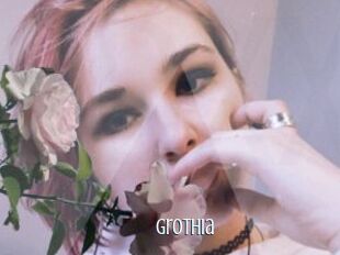 Grothia