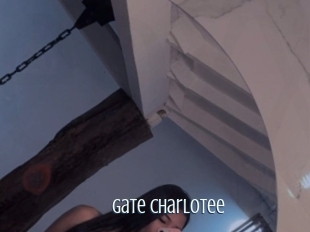 Gate_charlotee