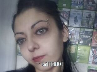 Gattahot