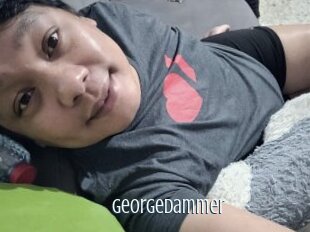 Georgedammer